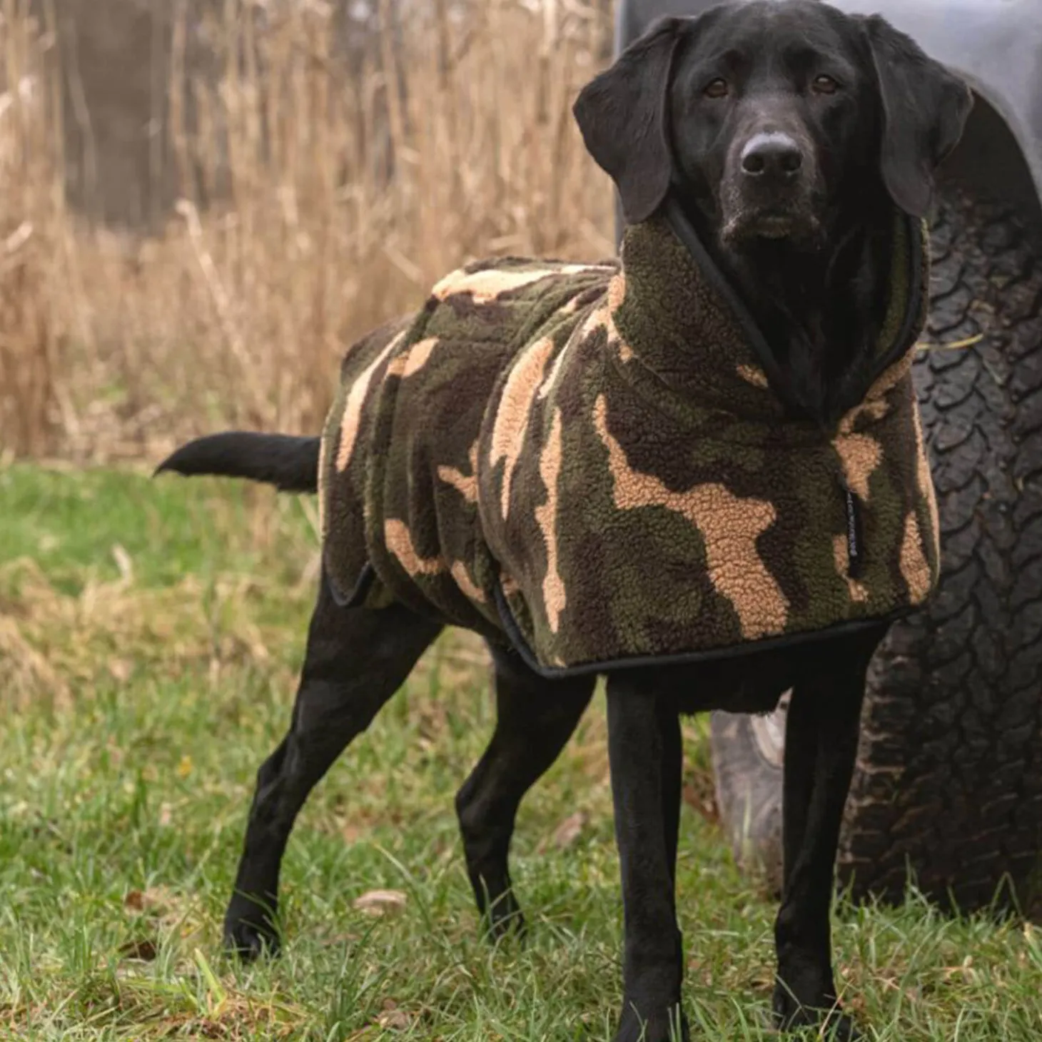 Actionfactory Hundecape Warmup Classic (wendbar)