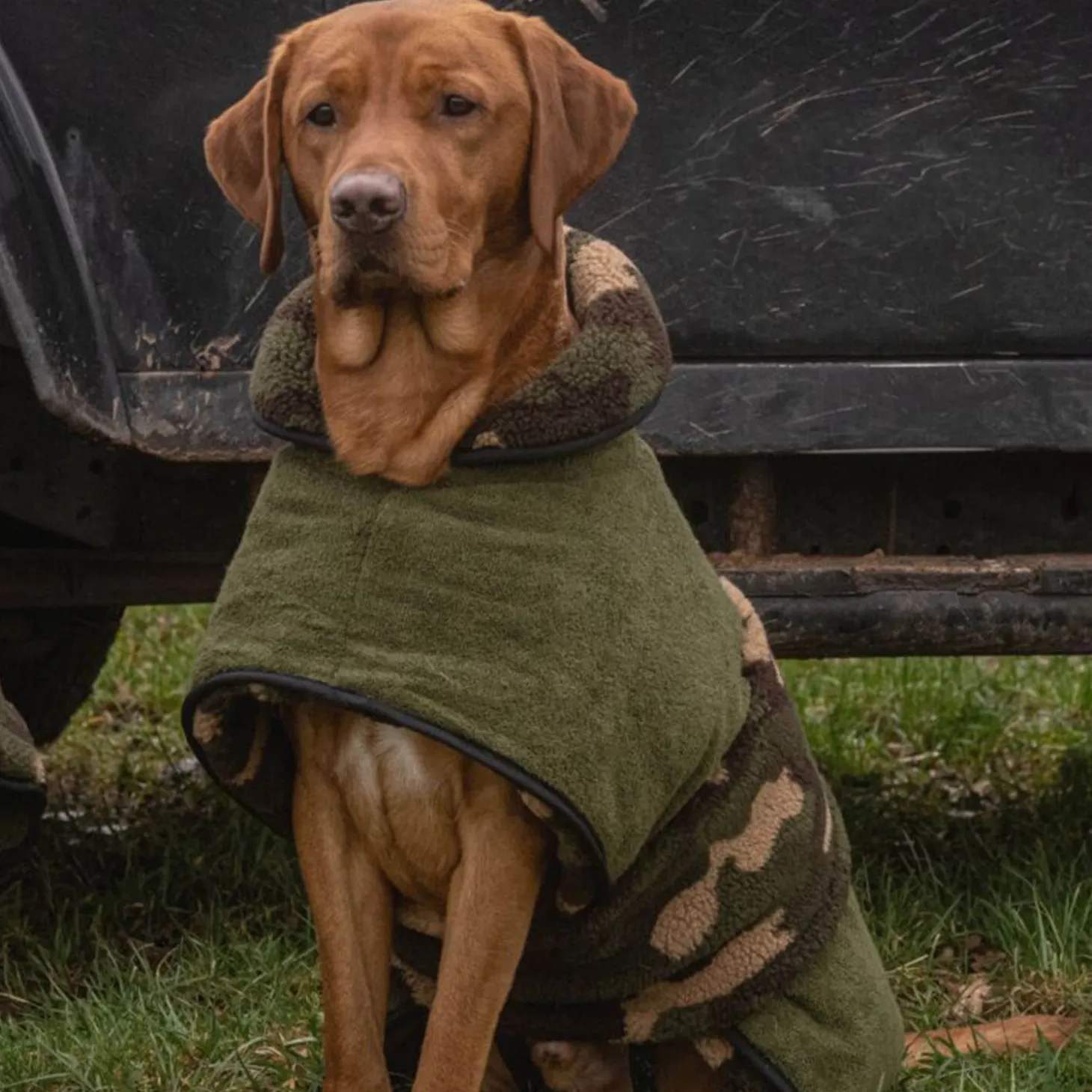 Actionfactory Hundecape Warmup Classic (wendbar)