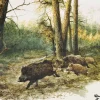 AKAH Servietten Sauen