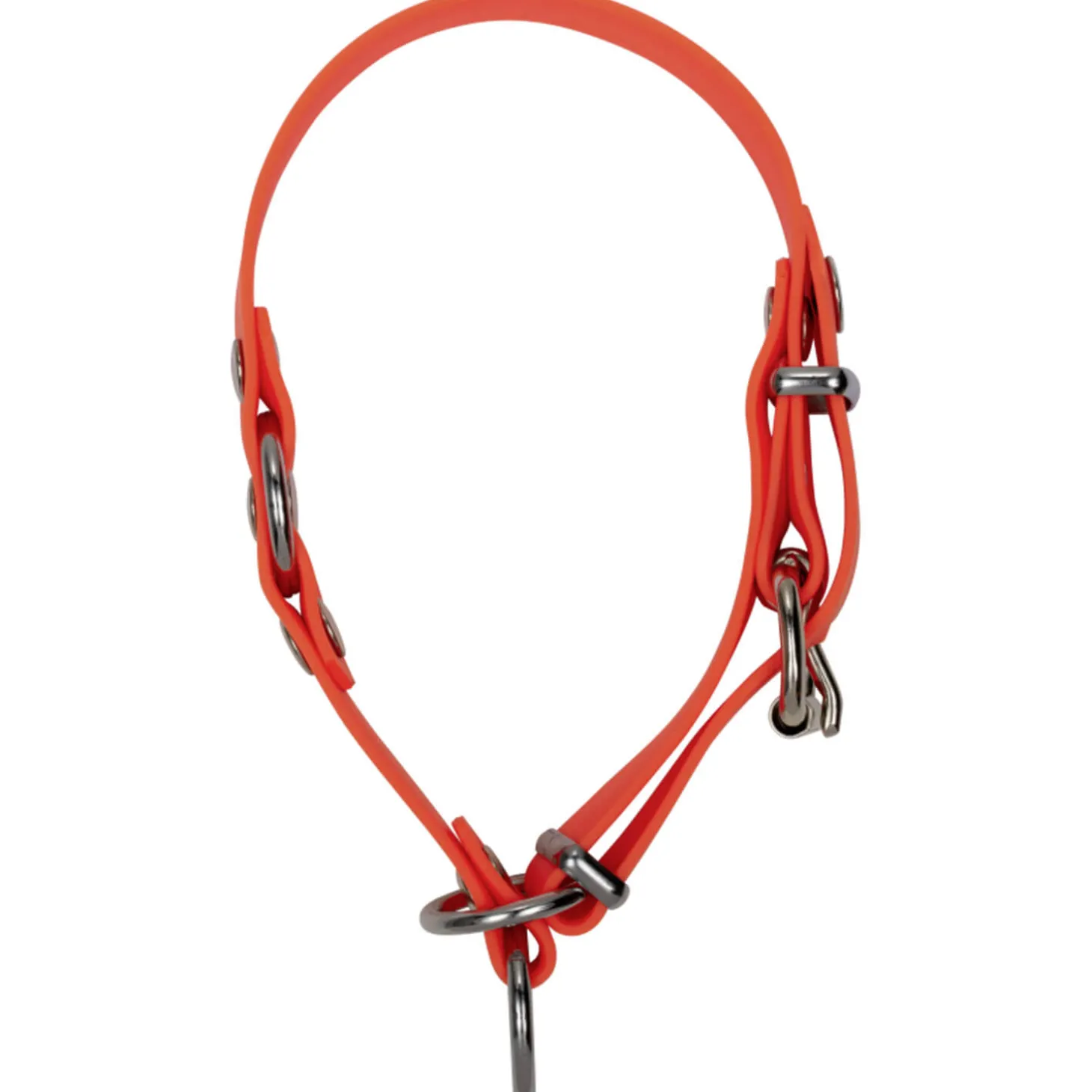 Blaser Hundehalsung Professional (Orange)