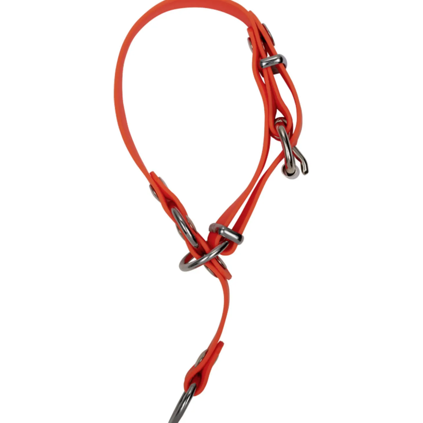 Blaser Hundehalsung Professional (Orange)