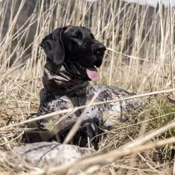 Blaser Hundeponcho (HunTec)