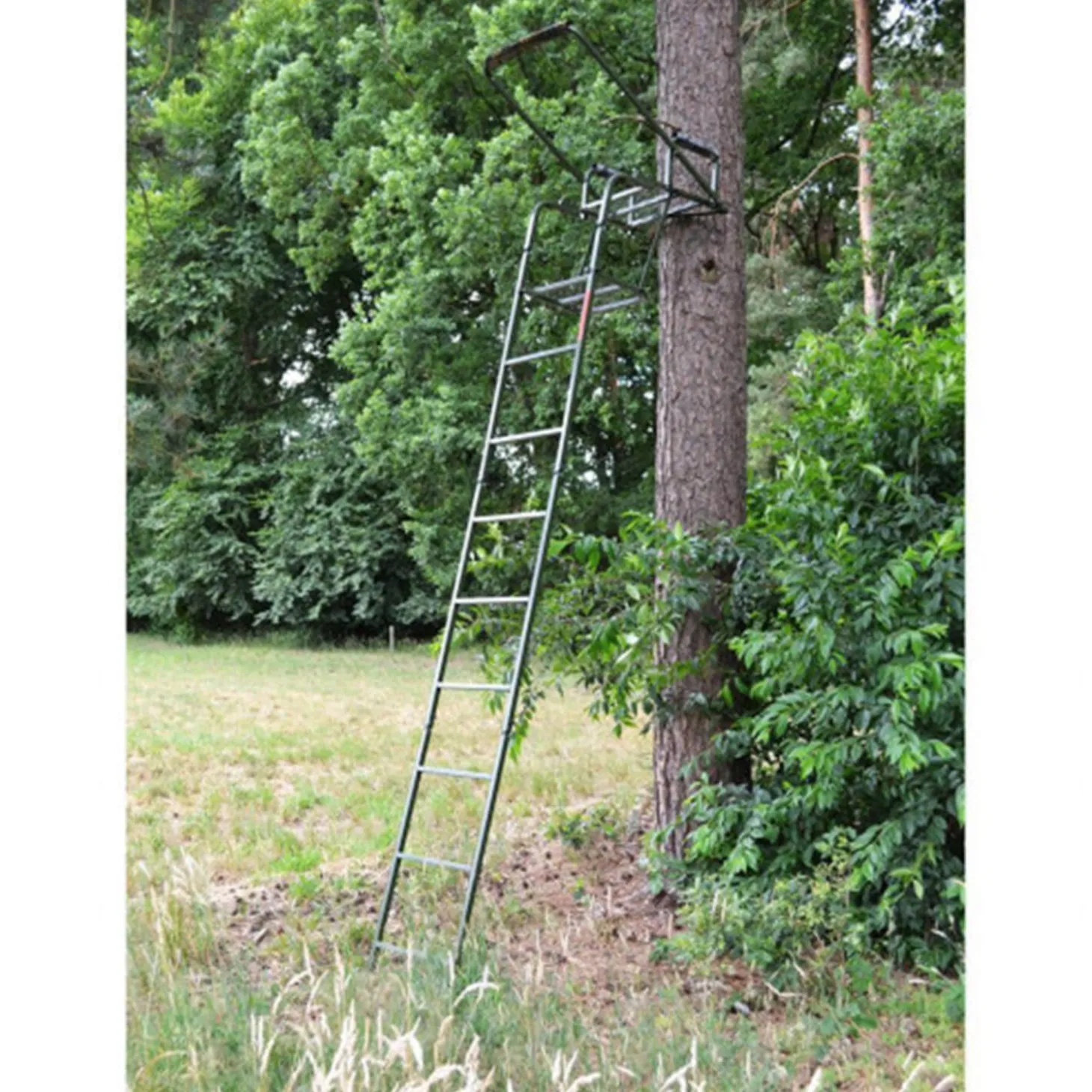 Farm-Land Ansitzleiter