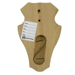 Gehörnbretter mit Kieferfach 5er-Pack (hell, rund)