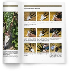 Heintges Handbuch der Trophäenbearbeitung