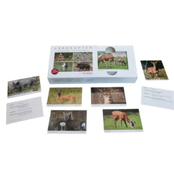 Heintges Lernkartensatz Ansprechen von Schalenwild
