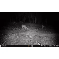 Hikmicro Wildkamera T16