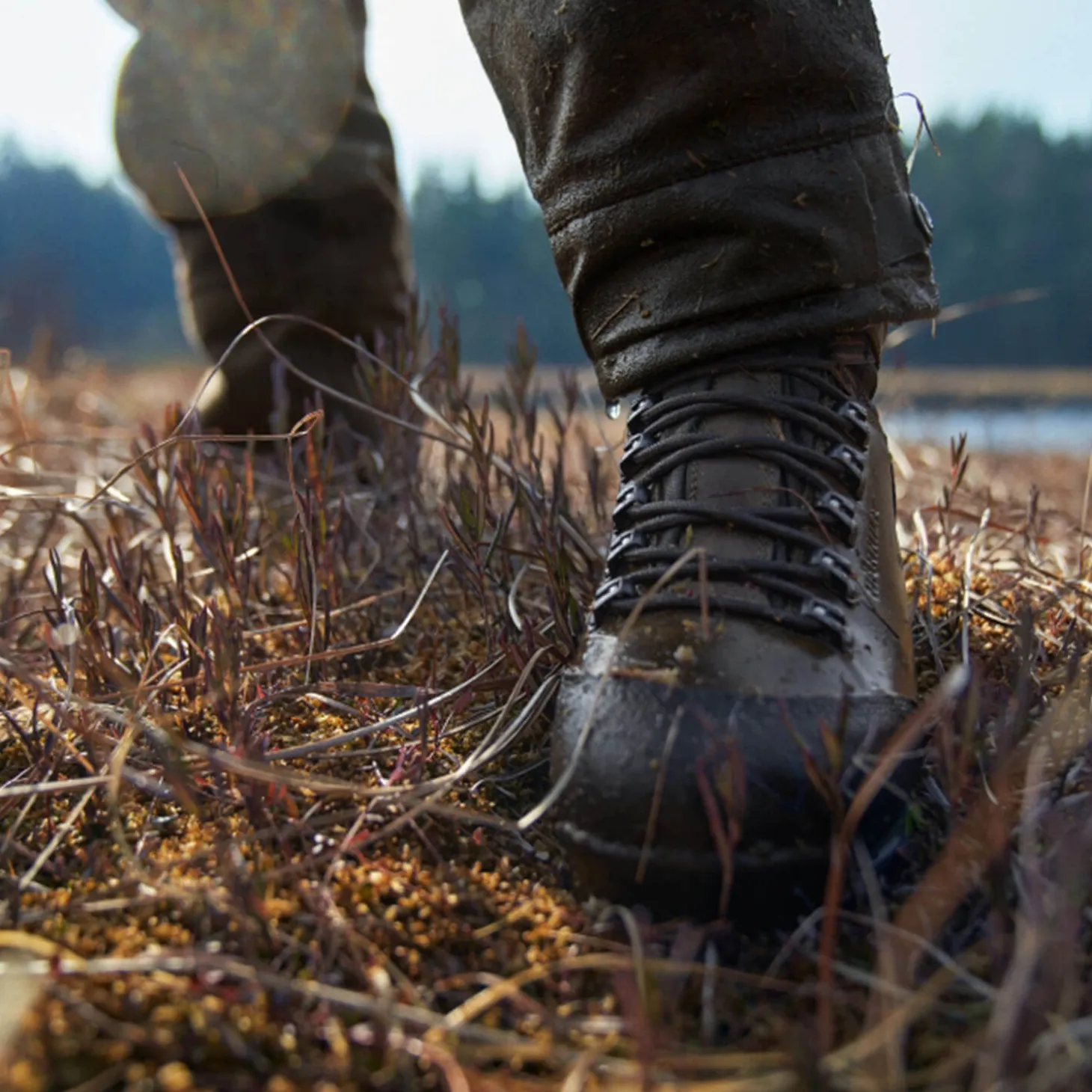 Härkila Jagdstiefel Forest Hunter Hi GTX