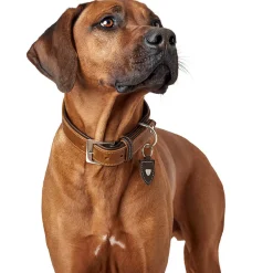Hunter Halsband Tara