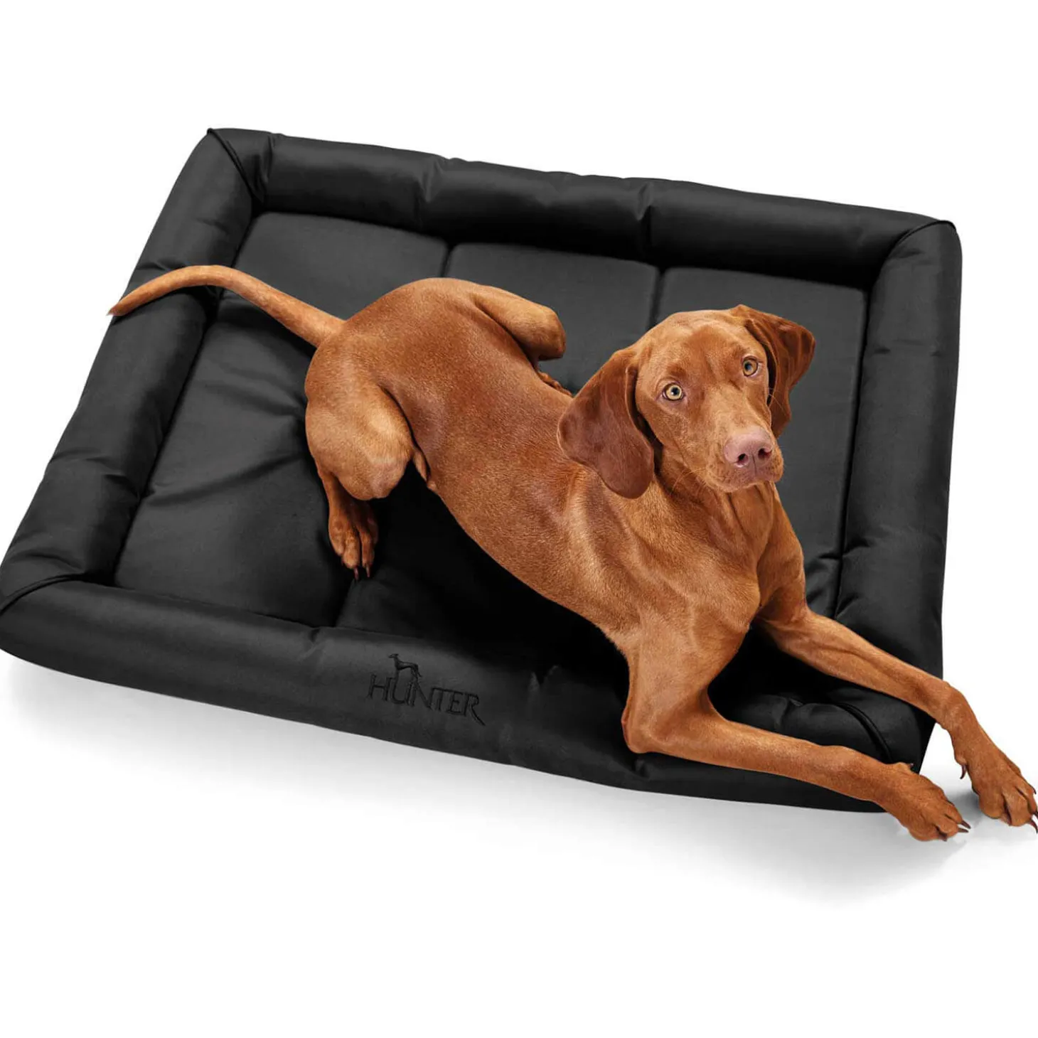 Hunter Hundematte Vermont (Schwarz)