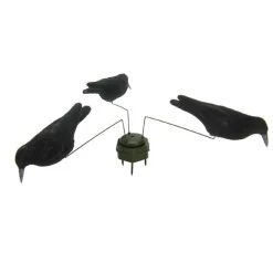 Krähenmagnet