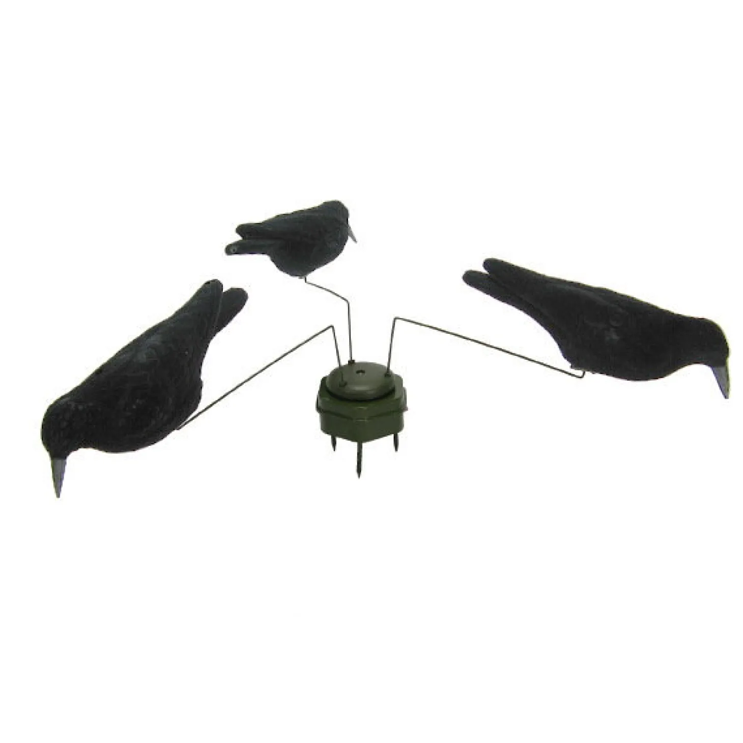 Krähenmagnet