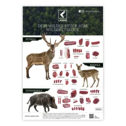 Landig Wildbretposter