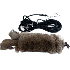 Mystique Running Rabbit