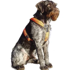 Niggeloh Follow Hundegeschirr (mit Schnalle)