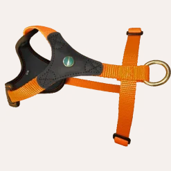 Niggeloh Hundegeschirr Follow Start