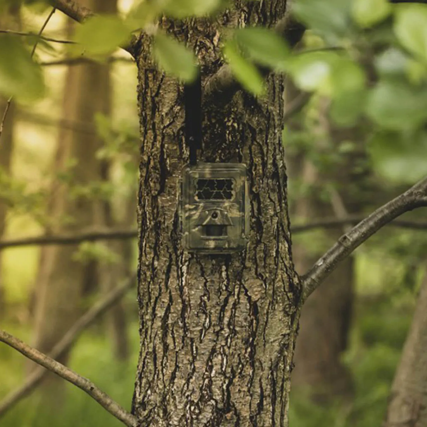 Seissiger Wildkamera Pro-Cam LTE Supersim