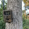 Seissiger Wildkamera Special-Cam LTE Weißblitz Supersim