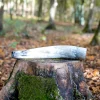 Weisskirchen Ochsenhorn Hirschruf