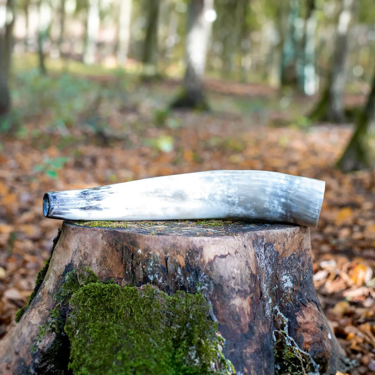 Weisskirchen Ochsenhorn Hirschruf